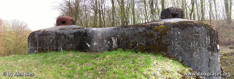 Panorama 1.jpg